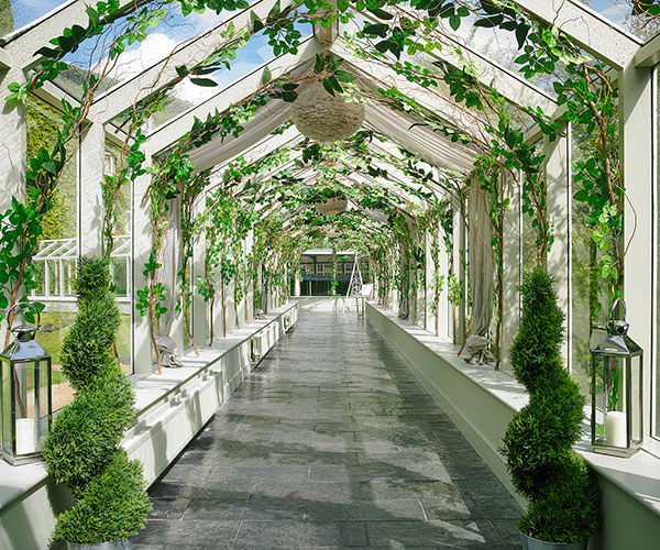 a walkway with plants growing on it