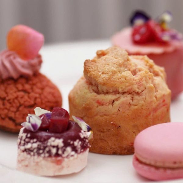 a group of cupcakes on a white plate