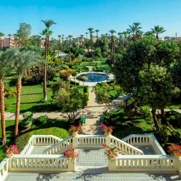 a garden with palm trees and a pool