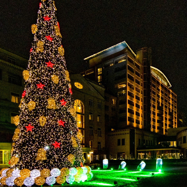 a large christmas tree with lights and a building in the background