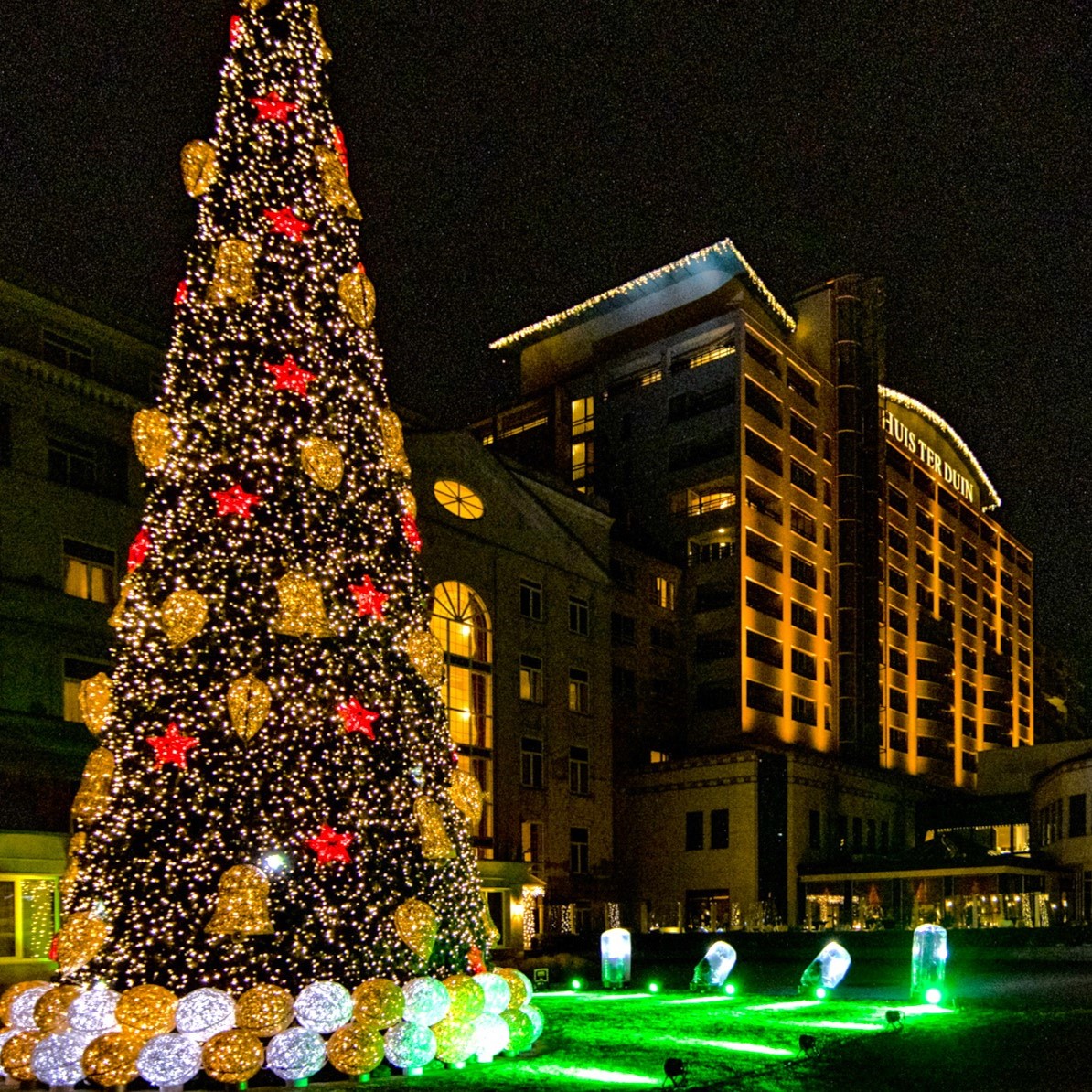 a large christmas tree with lights and a building in the background