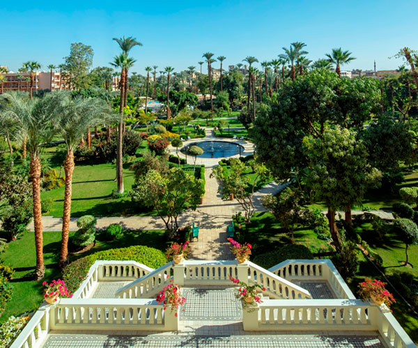 a garden with a pool and trees