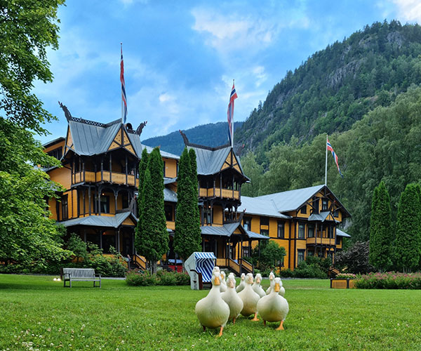 a group of ducks in a grassy area with a building in the background