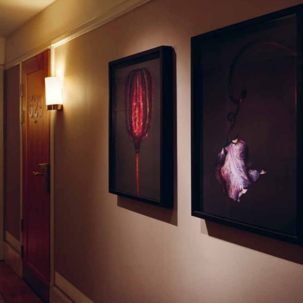 a wall with pictures on it