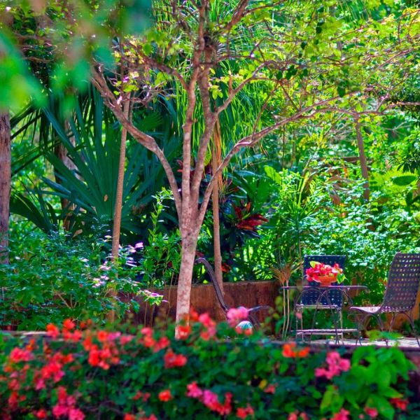 a garden with chairs and trees