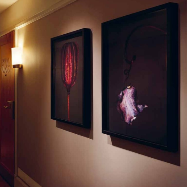 a couple framed pictures on a wall