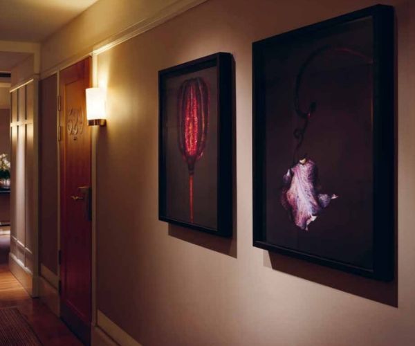 a wall with pictures on it