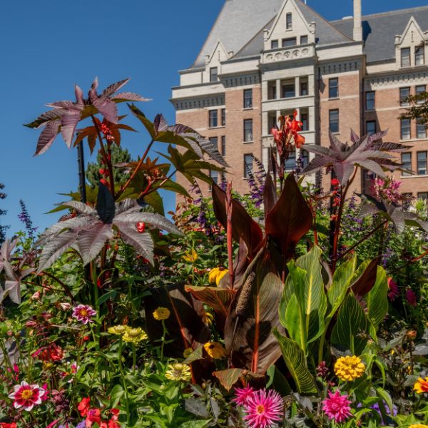 a flower garden with a building in the background