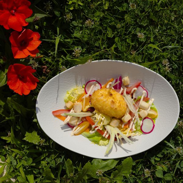 a plate of salad on grass