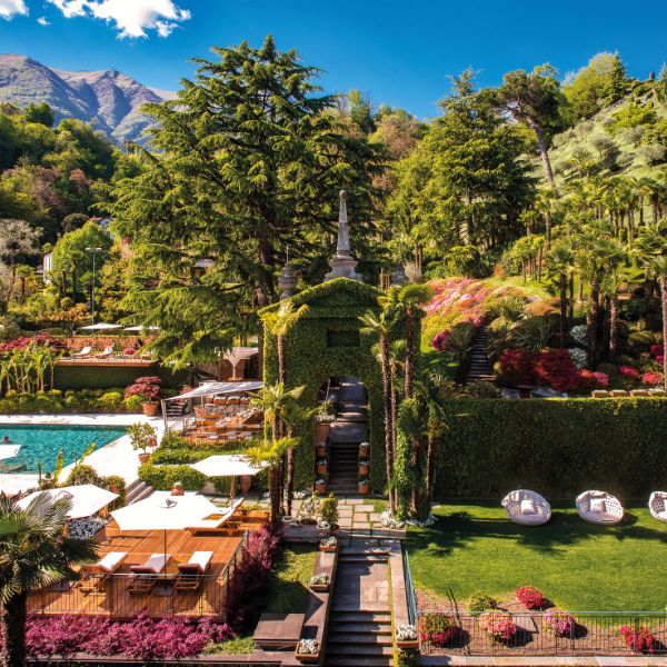 a pool in a garden