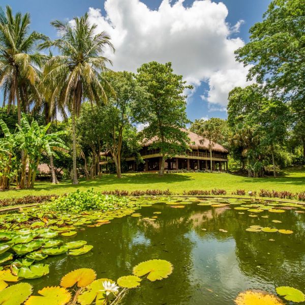 a pond with lily pads and trees in front of a building