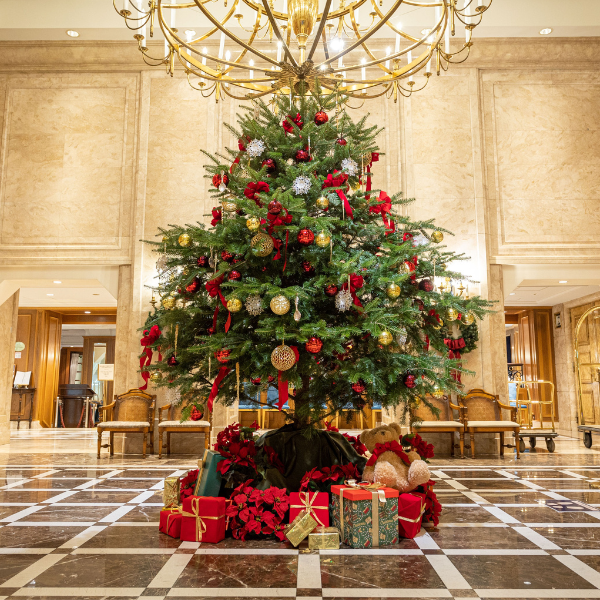 a christmas tree with presents under a chandelier