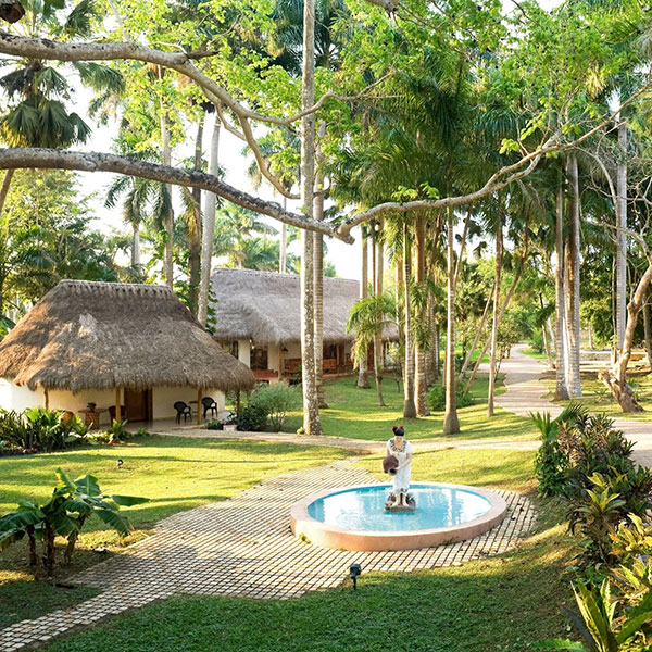 a person standing in a pool surrounded by trees