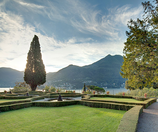 a garden with bushes and trees
