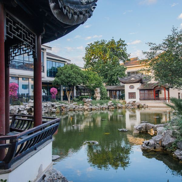 a pond with rocks and trees in front of buildings