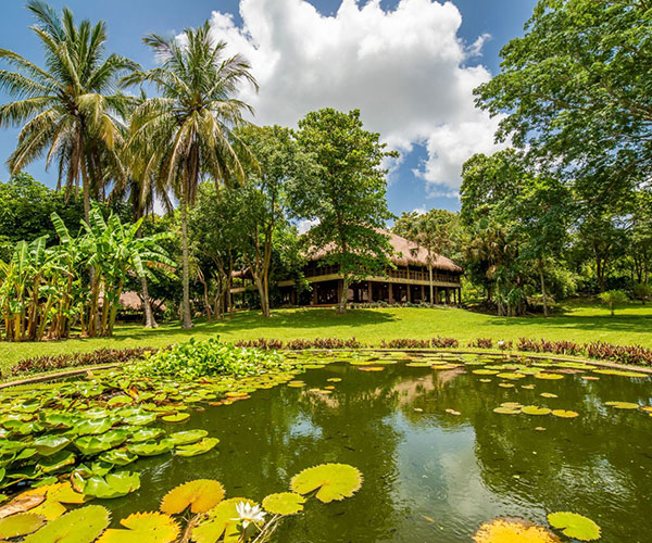 a pond with lily pads and trees in front of a building