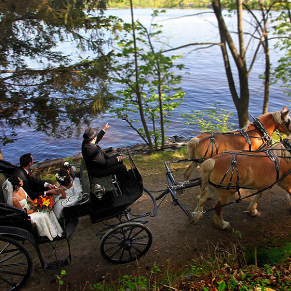 a horse drawn carriage with people in it