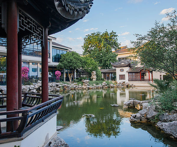 a pond with a building and trees