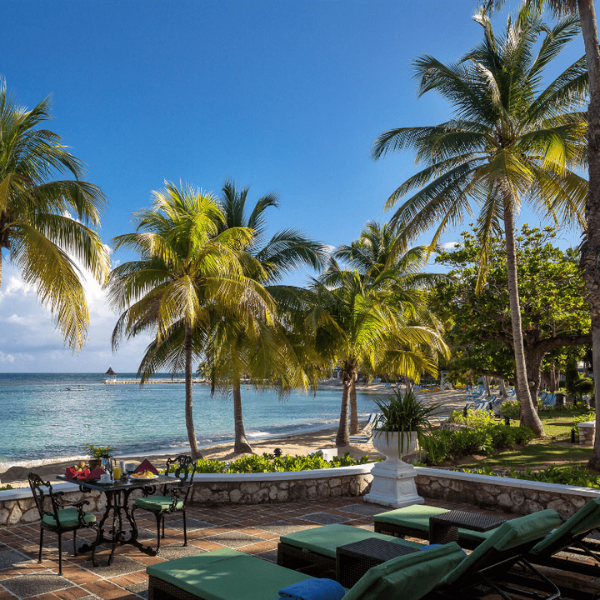 a patio with chairs and tables and palm trees by the water