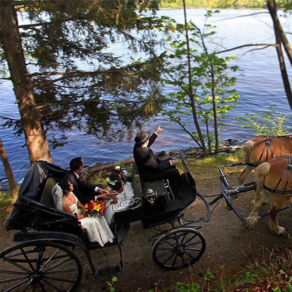 a horse drawn carriage with a couple of people in it