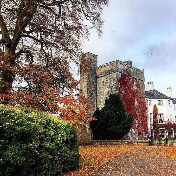 a building with red leaves on the side