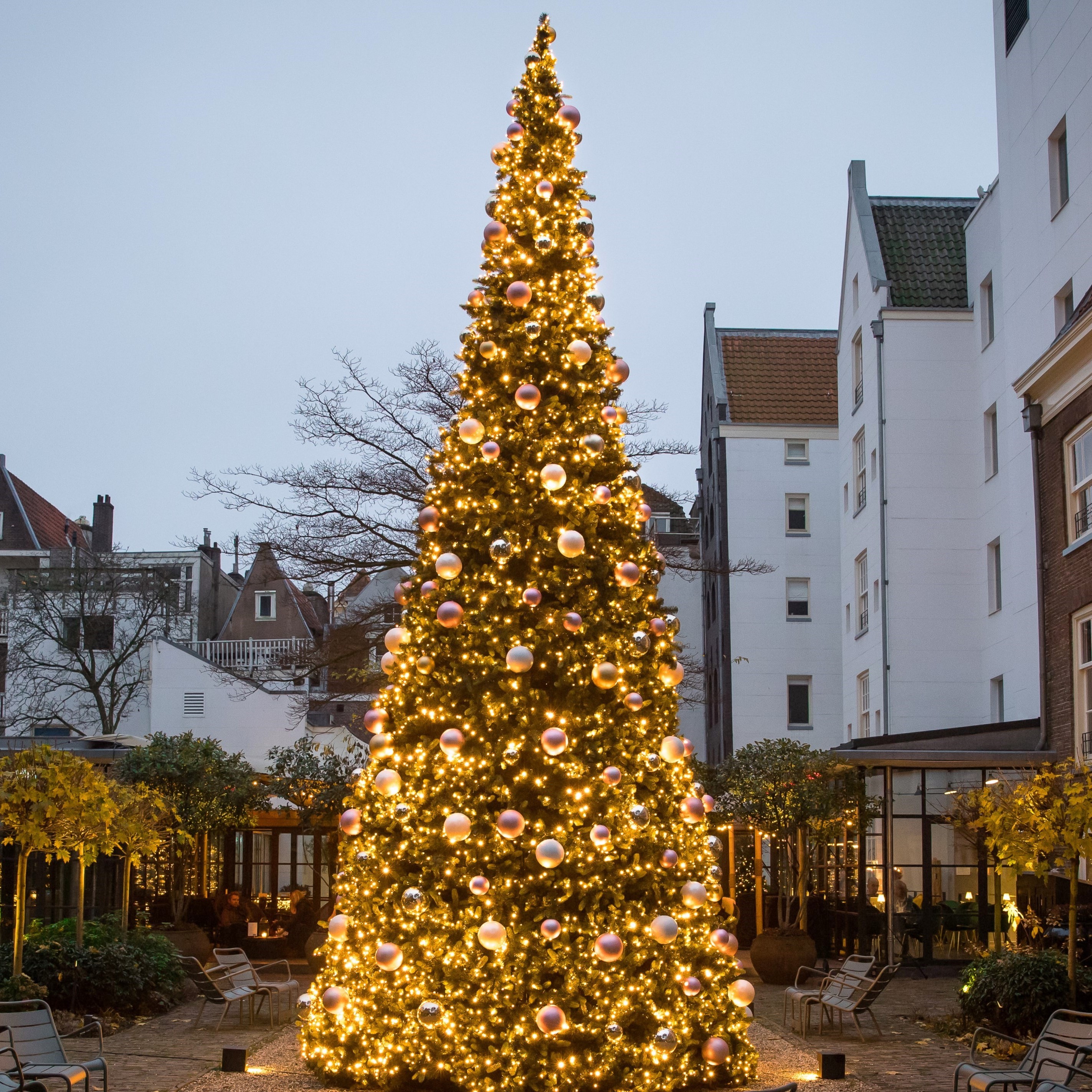 a large christmas tree with lights