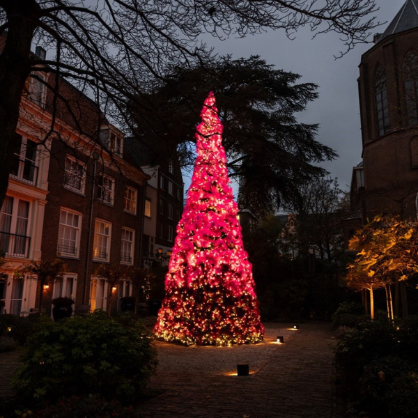 a tree with lights in the shape of a triangle