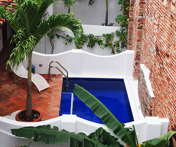 a pool with a palm tree and brick wall