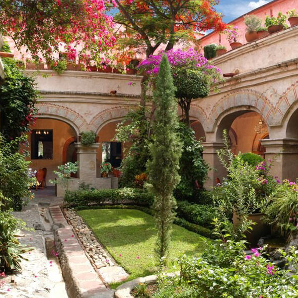 a courtyard with trees and plants