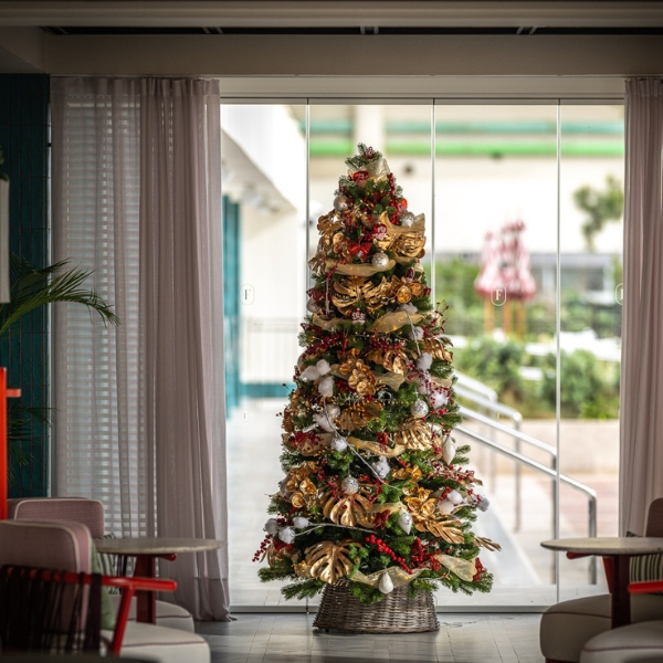a christmas tree in a room