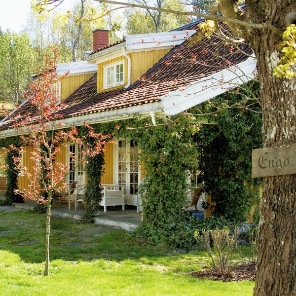 a house with a tree in front of it