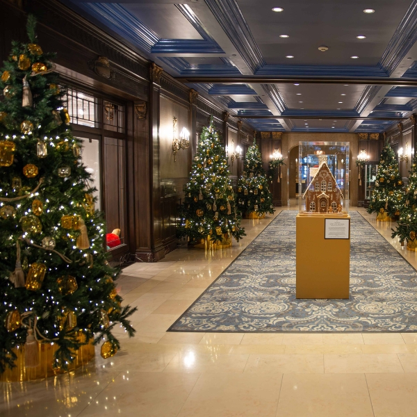 a hallway with christmas trees and lights
