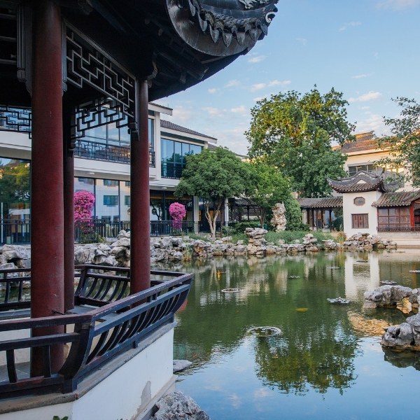 a pond with a building and trees