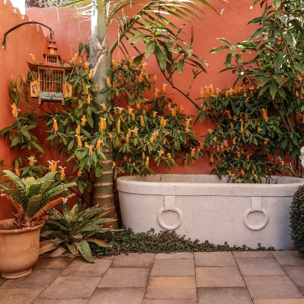 a tub and plants in a courtyard