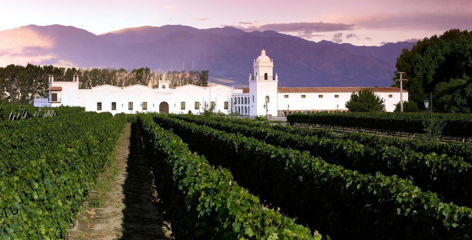 a white building with a large white building and rows of green plants