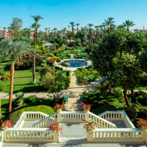 a garden with a pool and trees