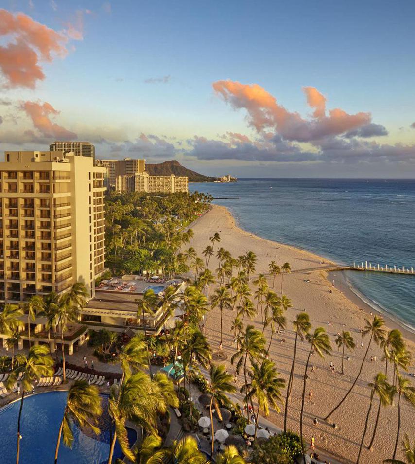 a beach with palm trees and buildings