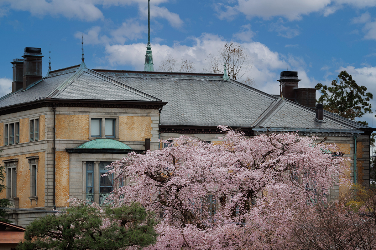 a building with pink flowers