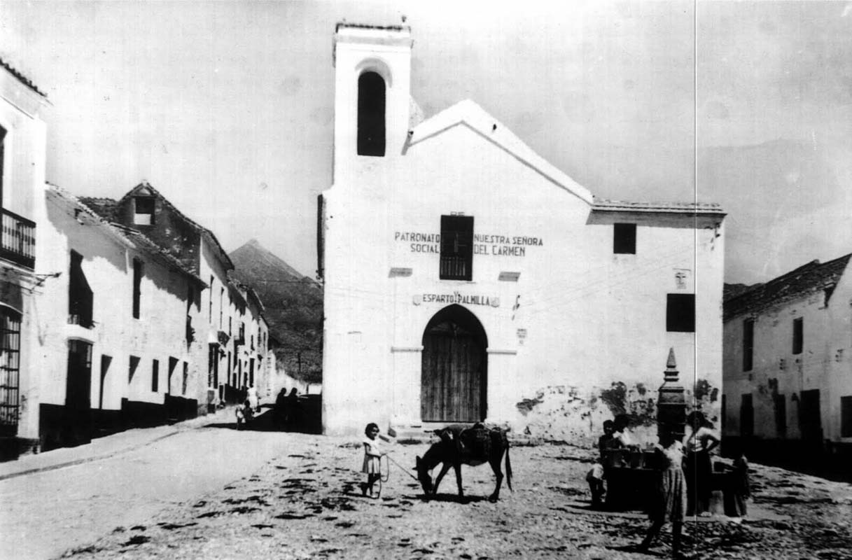 a donkey in front of a building