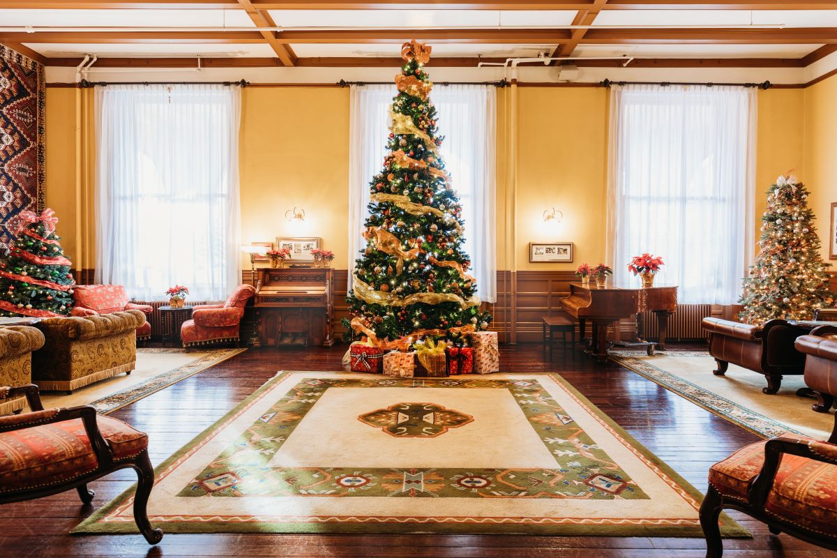 a christmas tree in a room with a piano and a piano