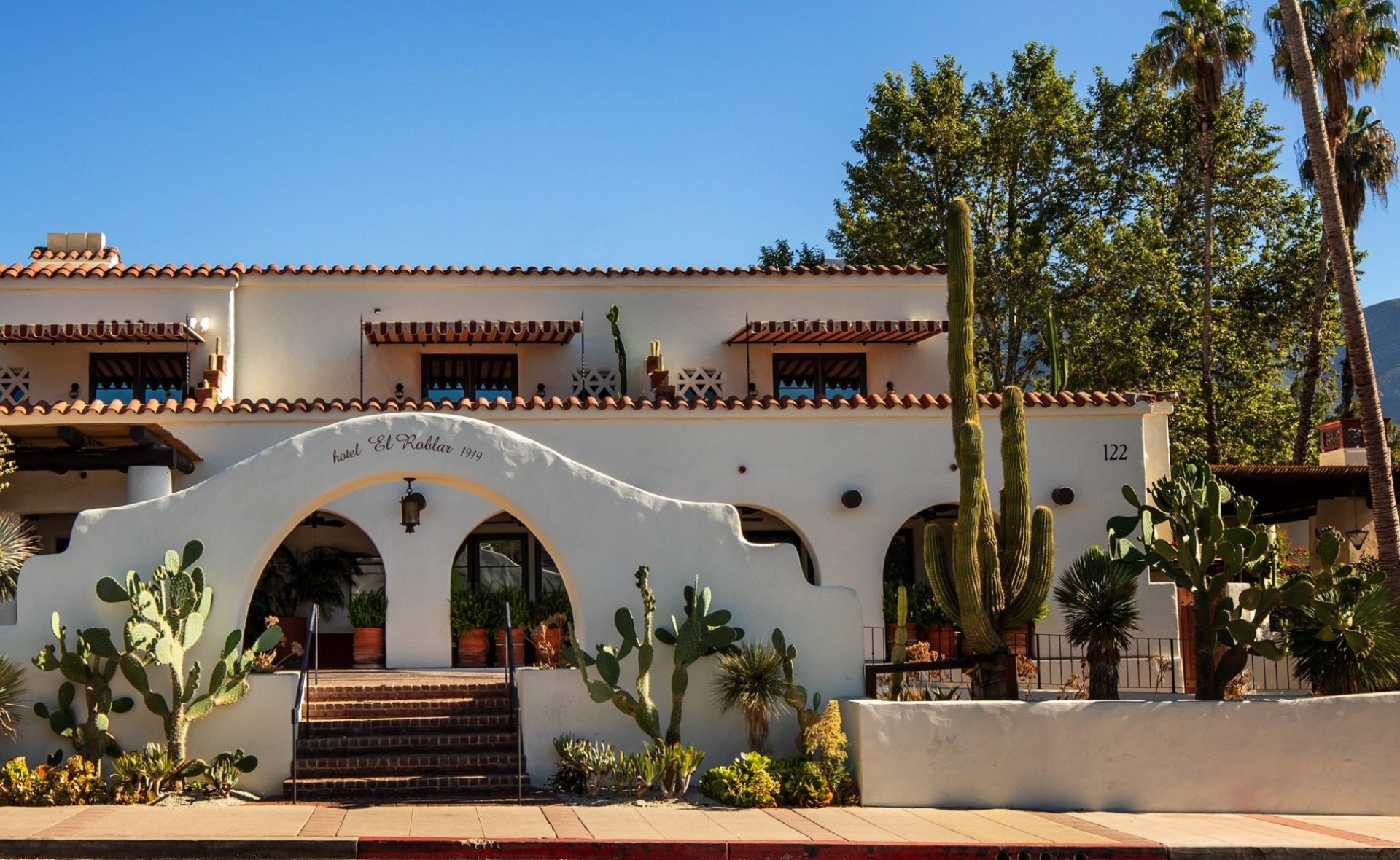 a white building with a cactus in front of it