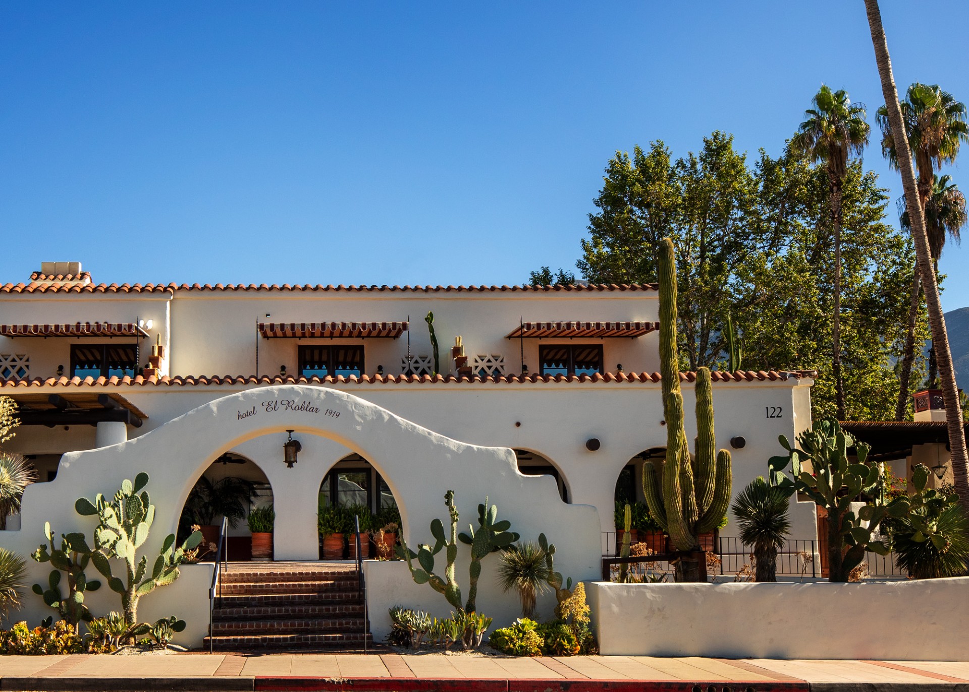 a white building with cactuses and a street