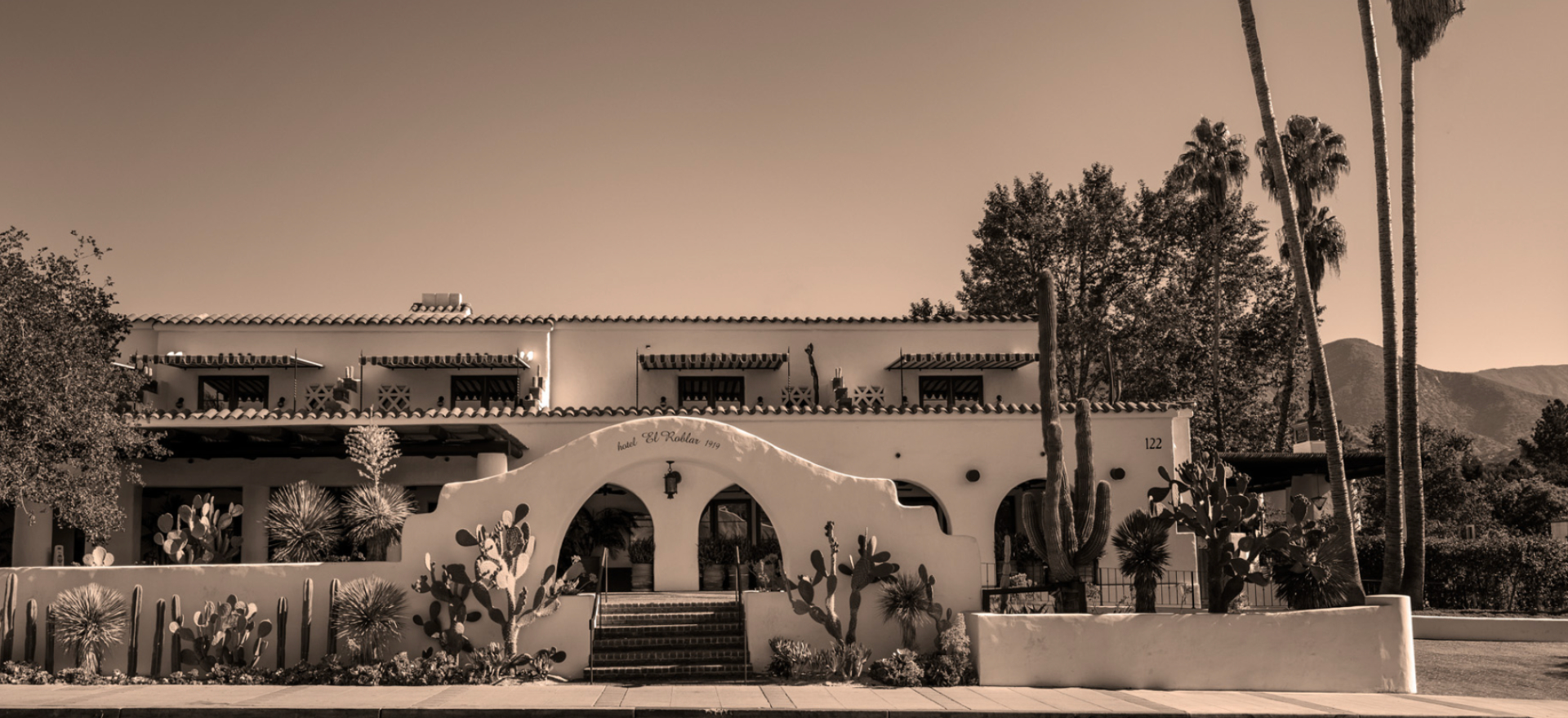 a white building with a cactus in front of it