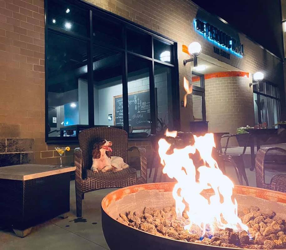 a dog sitting in a chair next to a fire pit
