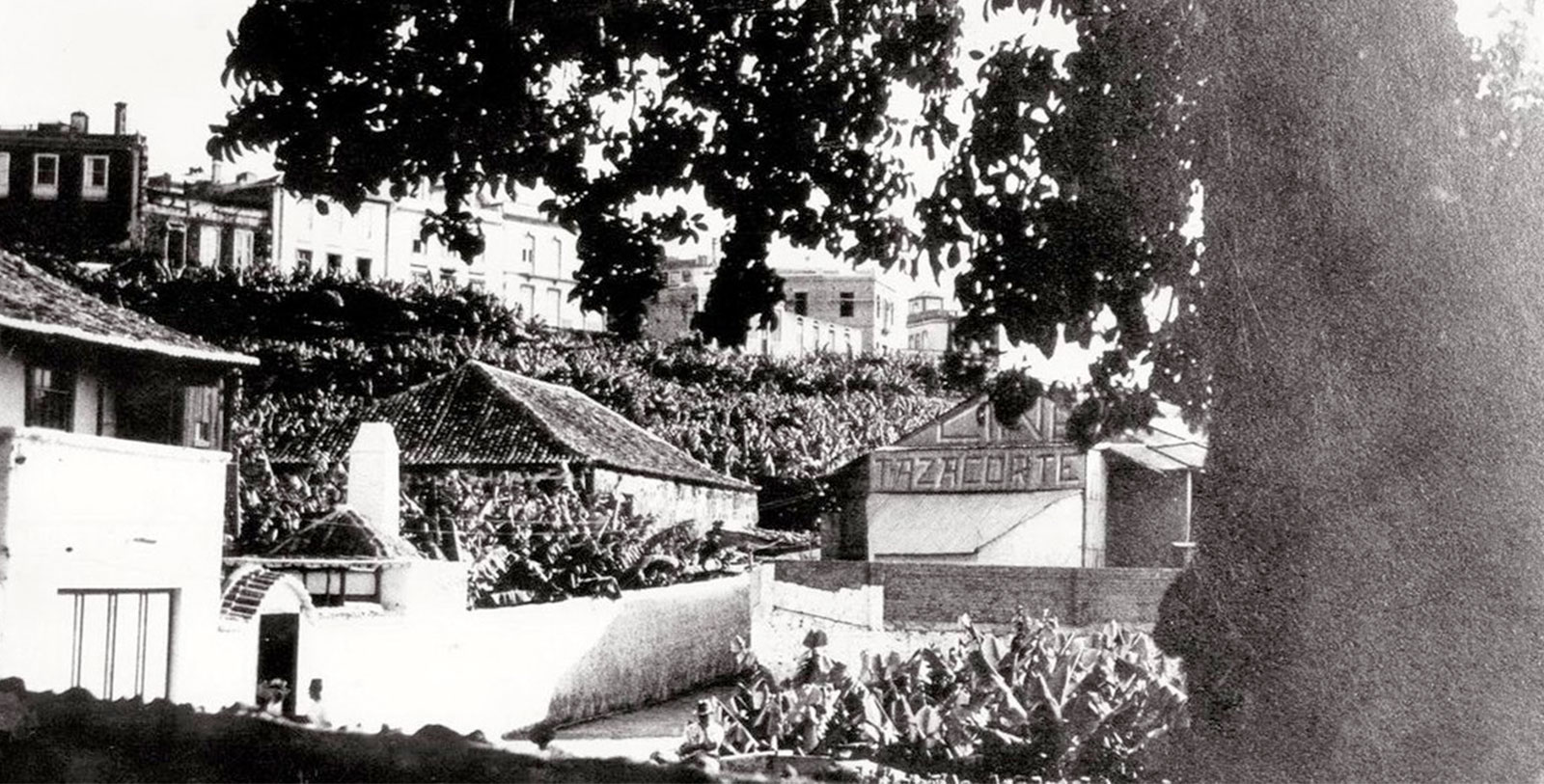 a group of buildings in a garden