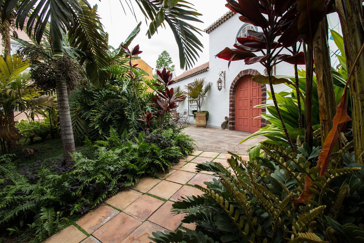 a courtyard with plants and trees