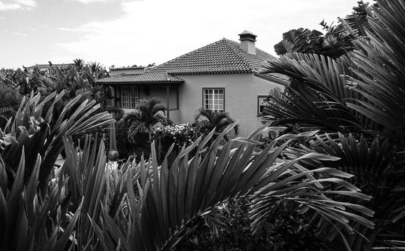 a house surrounded by palm trees