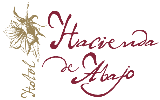 Hotel Hacienda de Abajo Logo