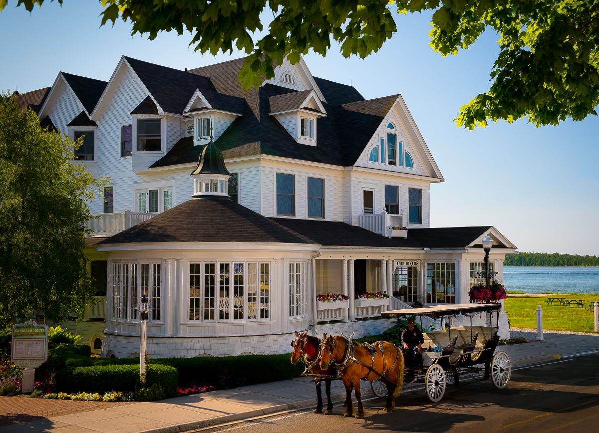 exterior_ _horse_ _suze_oostendorp_high 64dbcf9834c81
