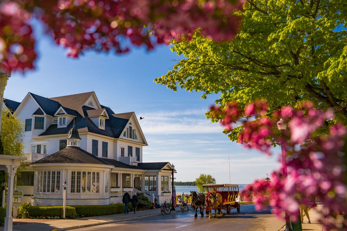 exterior_ _lilac_ _suze_oostendorp_high 64dbd030d6da1